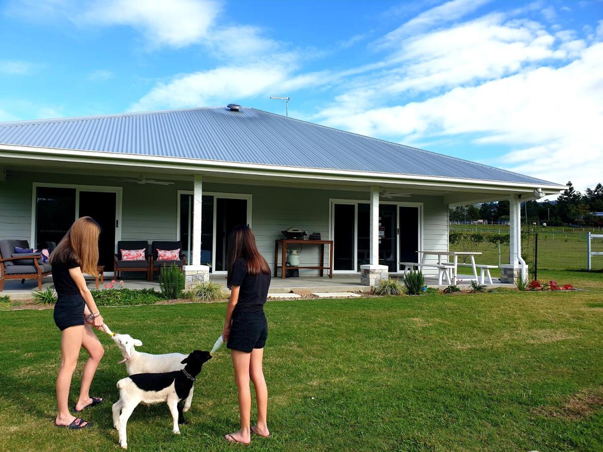 B&B Highvale - Fig Tree Farm B&B Highvale-Farmstay near Brisbane! - Bed and Breakfast Highvale