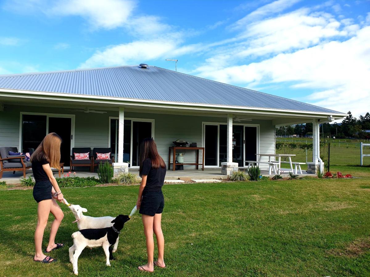 Fig Tree Farm B&B Highvale-Farmstay near Brisbane! - B&B Highvale