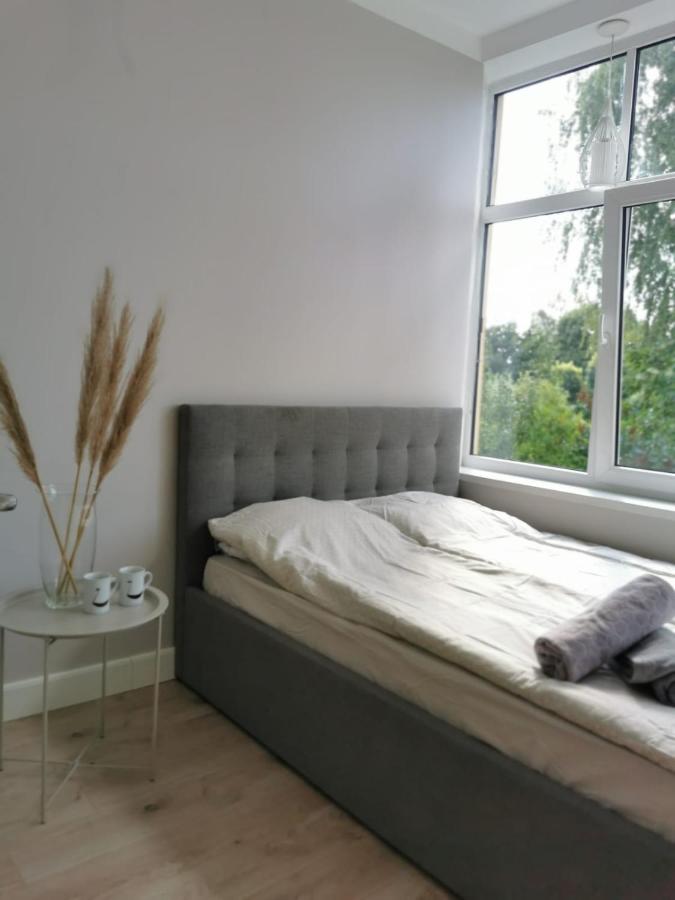 Tolstoi Scandinavian 1 bedroom apartment + free parking - Bed and Breakfast