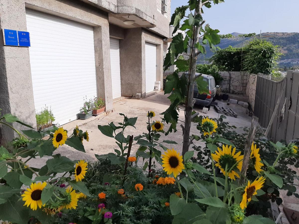 Appartamento con Vista Mare