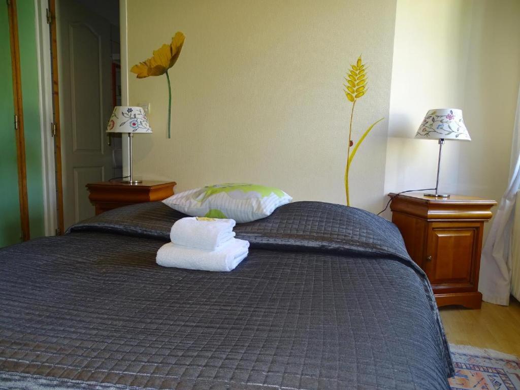 Standard Single Room with Mountain View