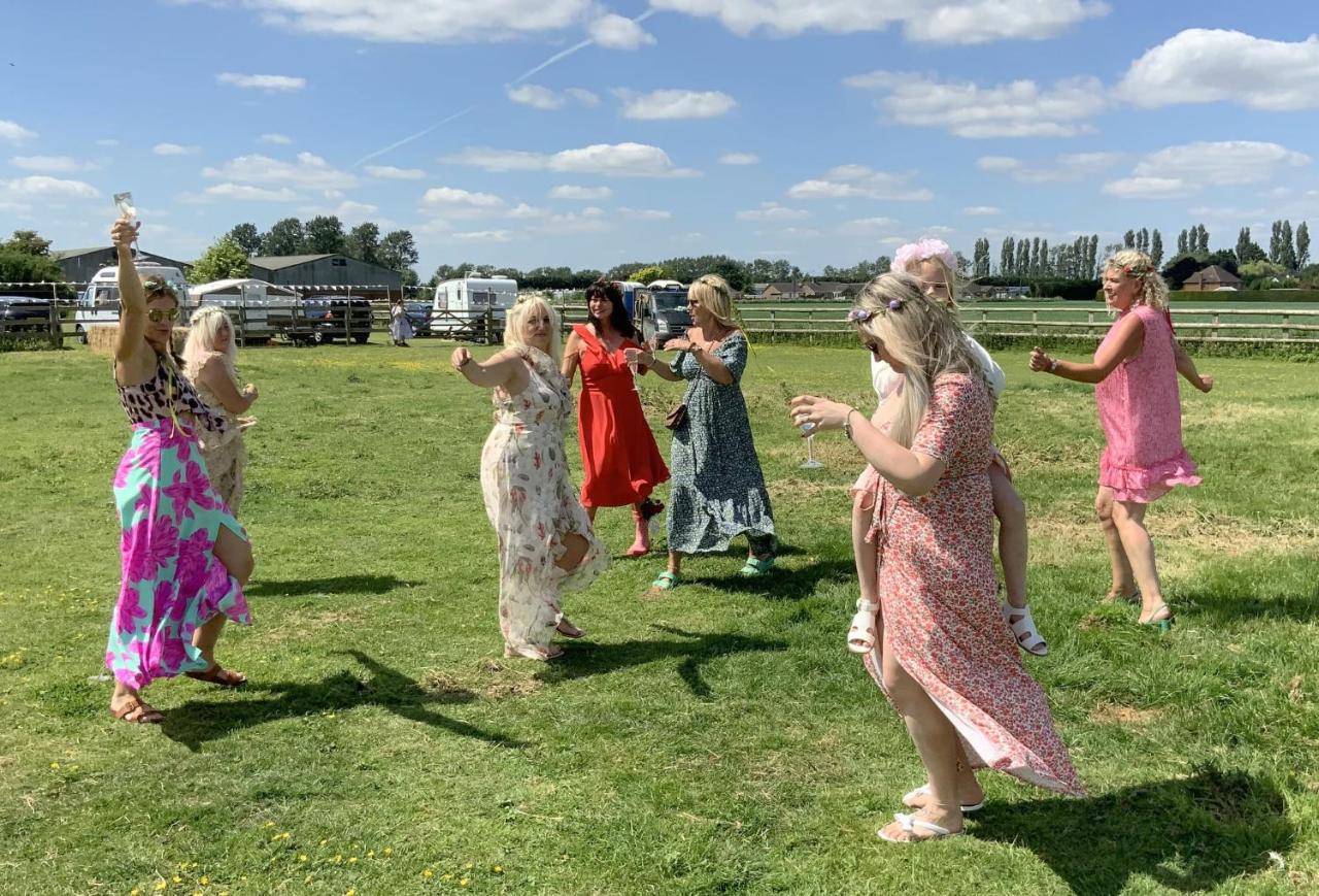 Glamping with Llamas - B&B