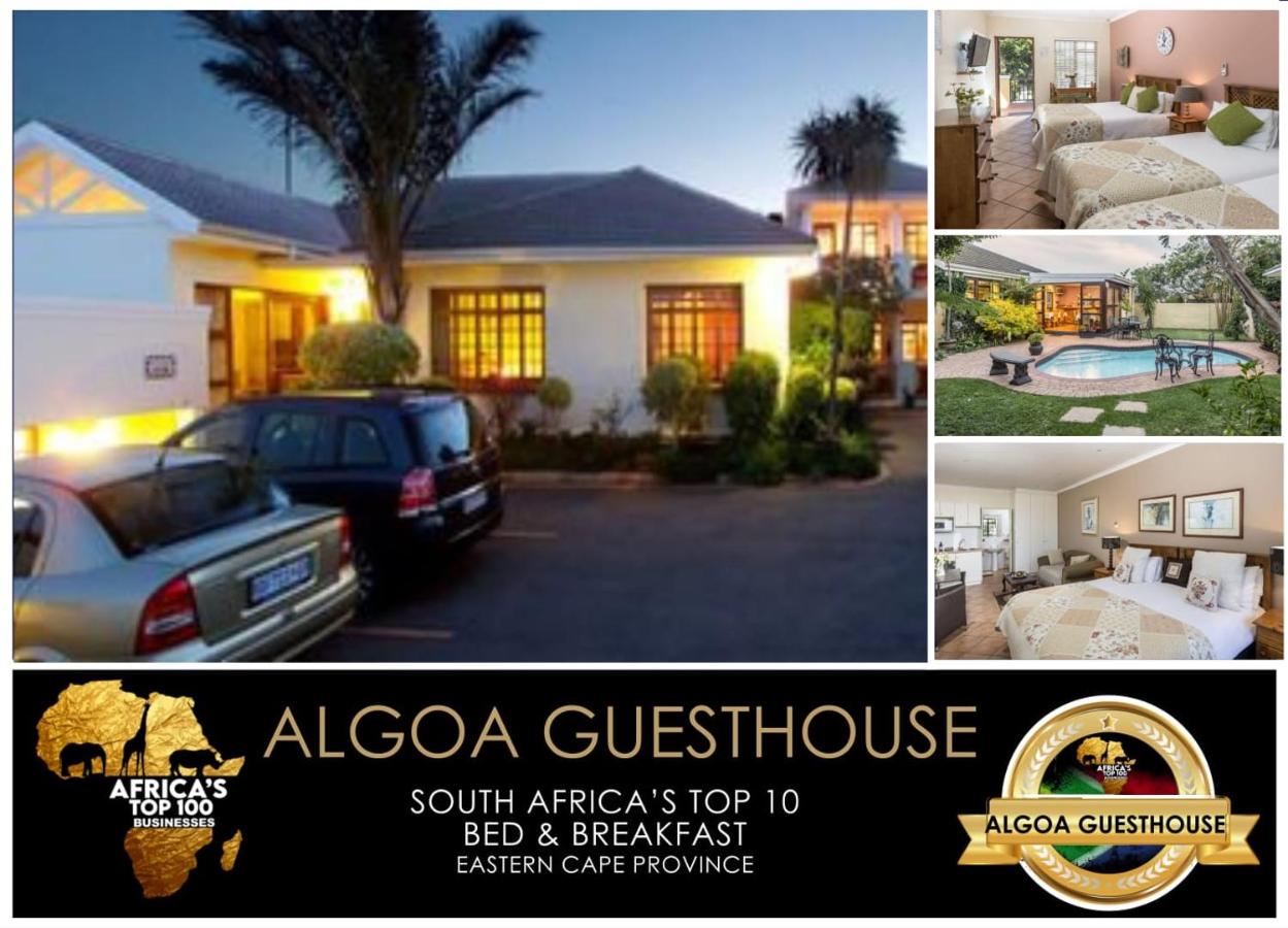 B&B Port Elizabeth - Algoa Guest House Summerstrand - Bed and Breakfast Port Elizabeth