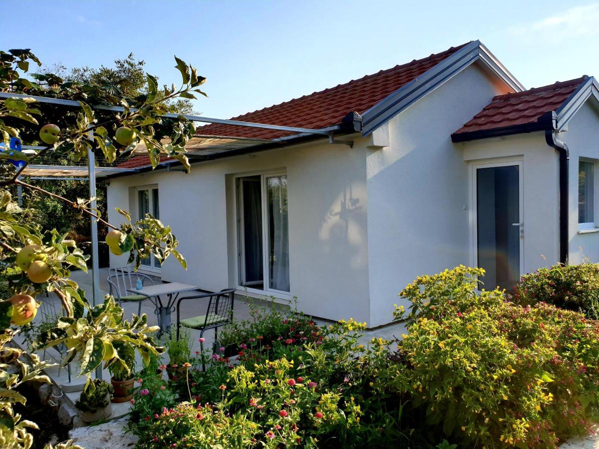 Apartments Minex - B&B