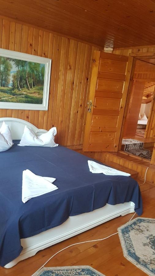 Cazare de vis - Bed and Breakfast Douăzeci şi Trei August