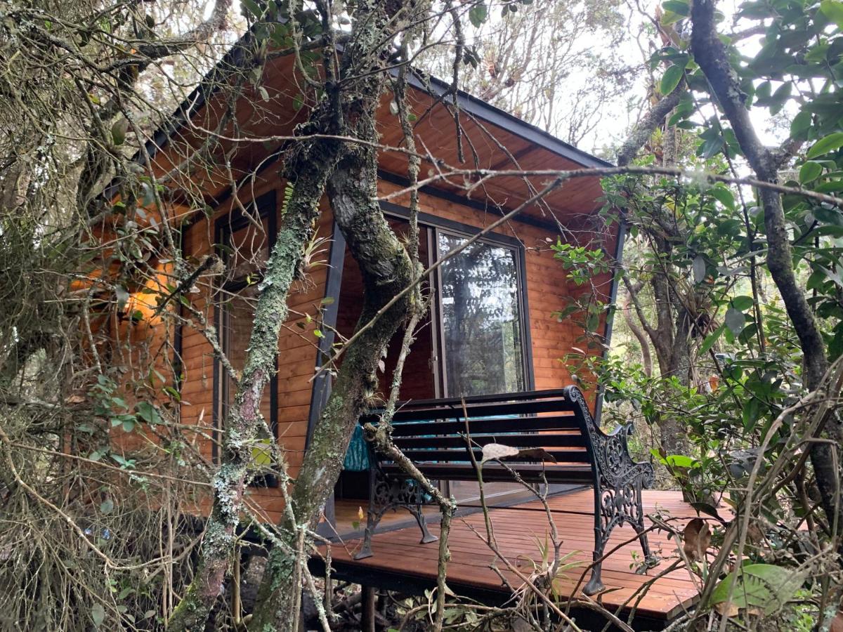 Doppelzimmer mit Parkblick
