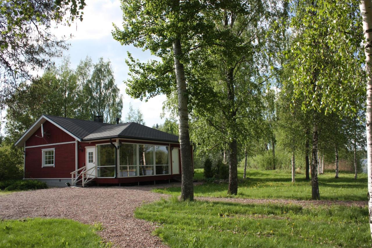 Cottage Baydar - Chambres d’hôtes