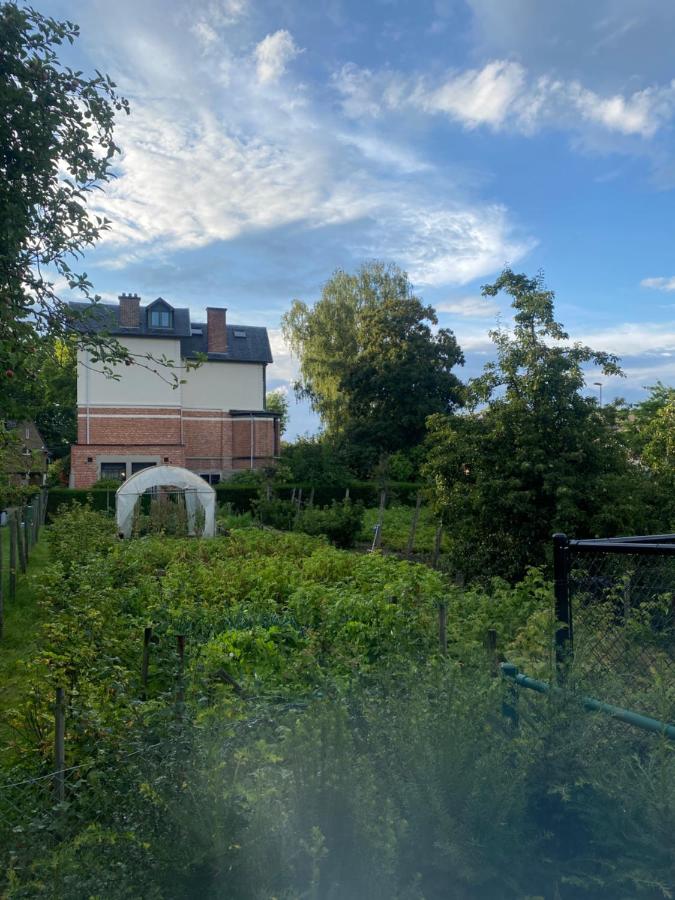 Nummer 151 villastudios - B&B