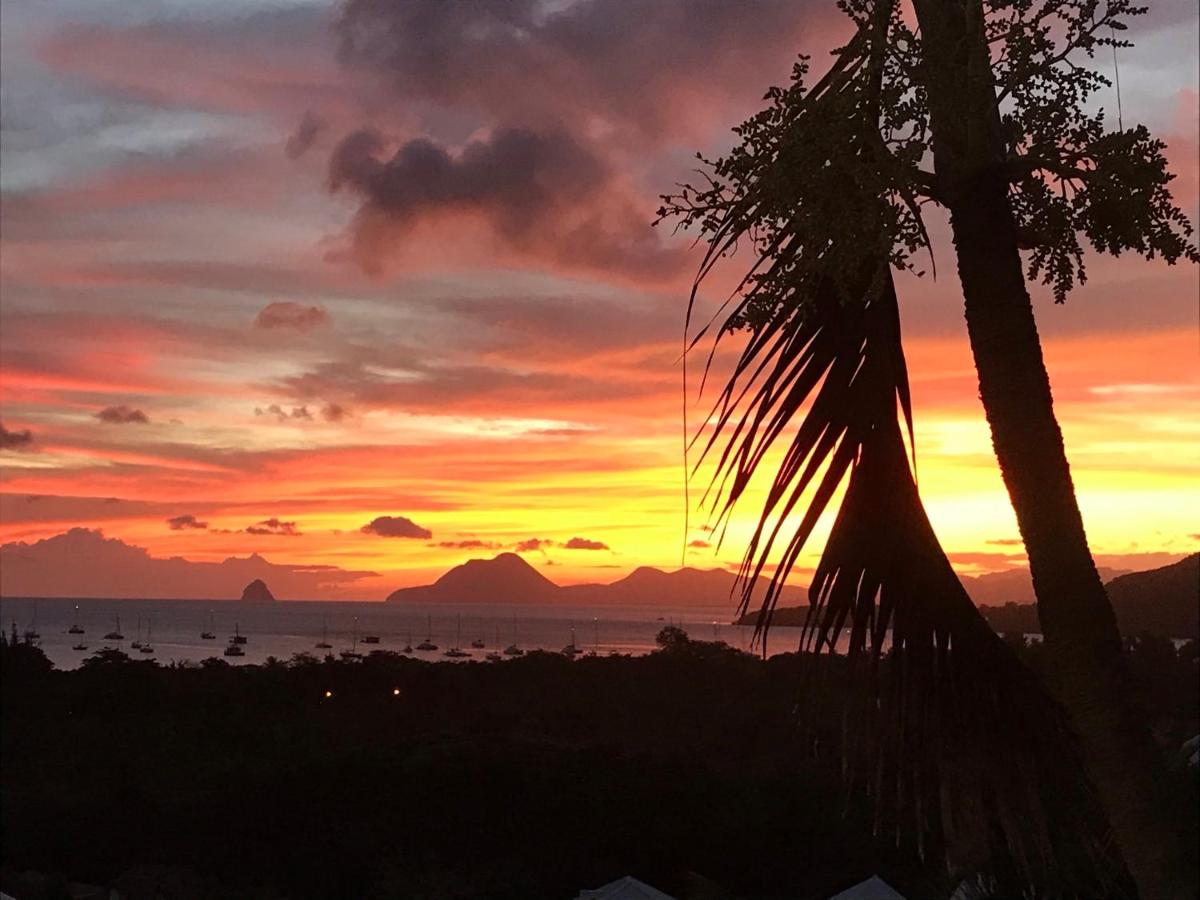 Belfond-Tropical - Ferienwohnung Sainte-Anne