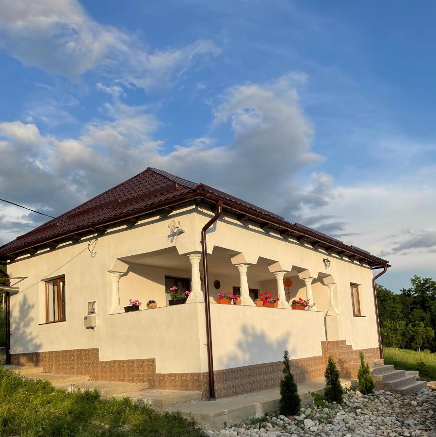 B&B Hotărasa - Ascunzătoarea Haiducului - Bed and Breakfast Hotărasa