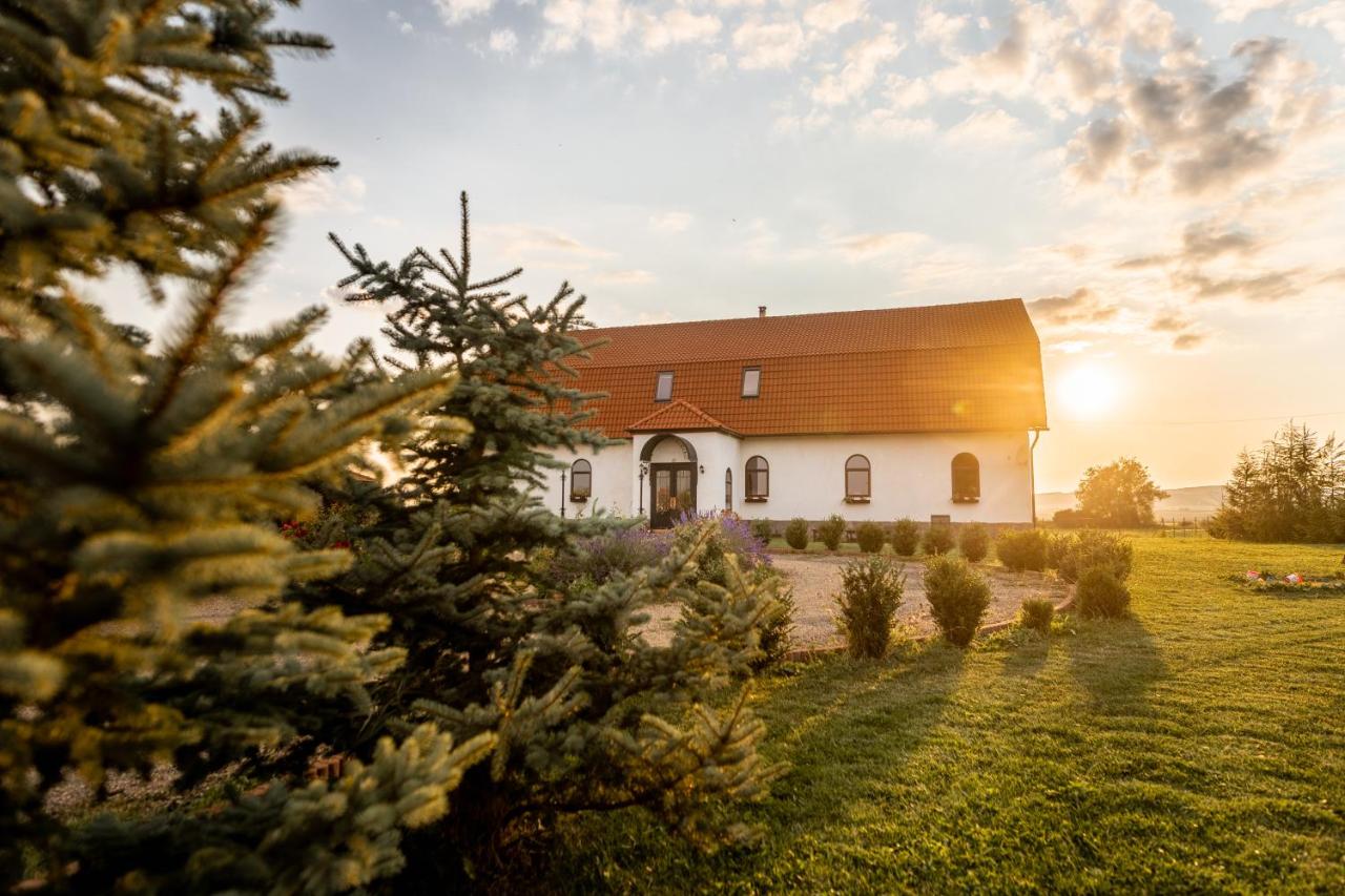 Pet Friendly Conacul Nagy