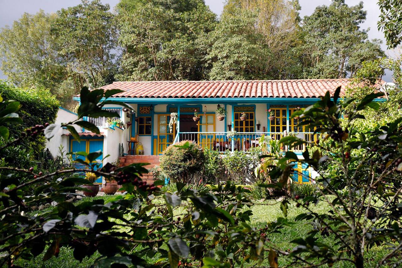 Real House Salento - B&B