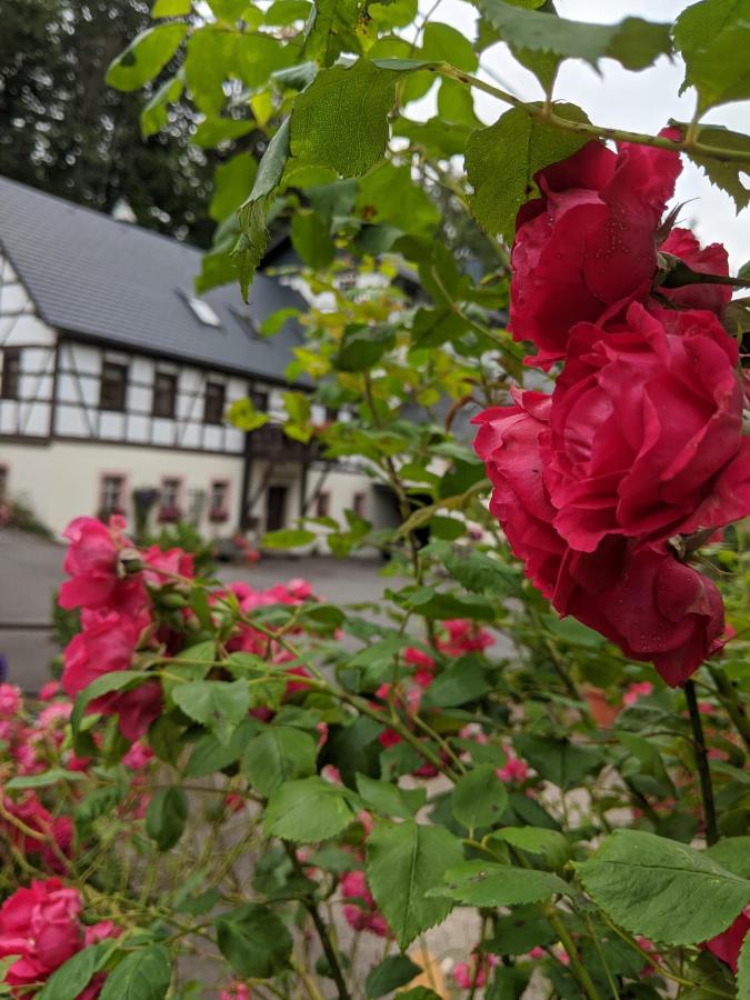 Viertel's Mühle - Ferienwohnung Bodenberg