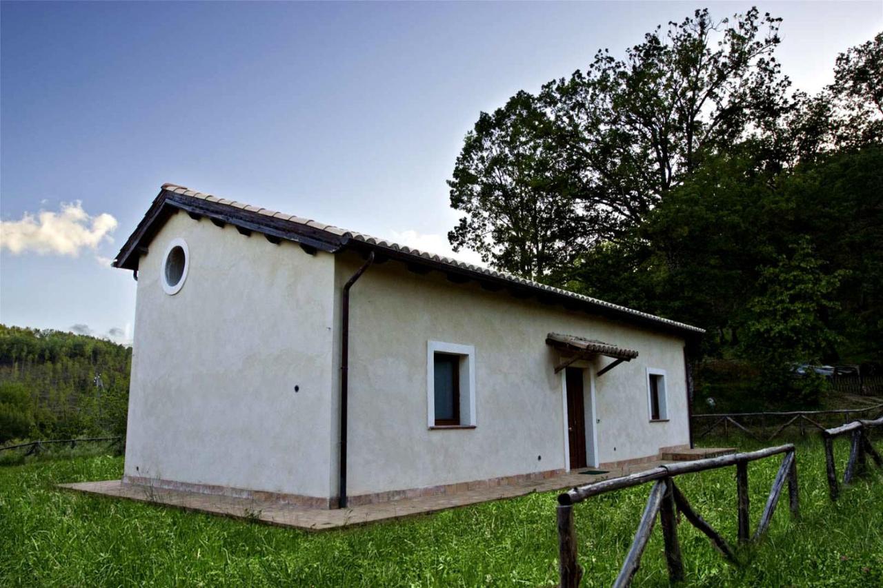 Agriturismo Borgo Serafino - Bed and Breakfast