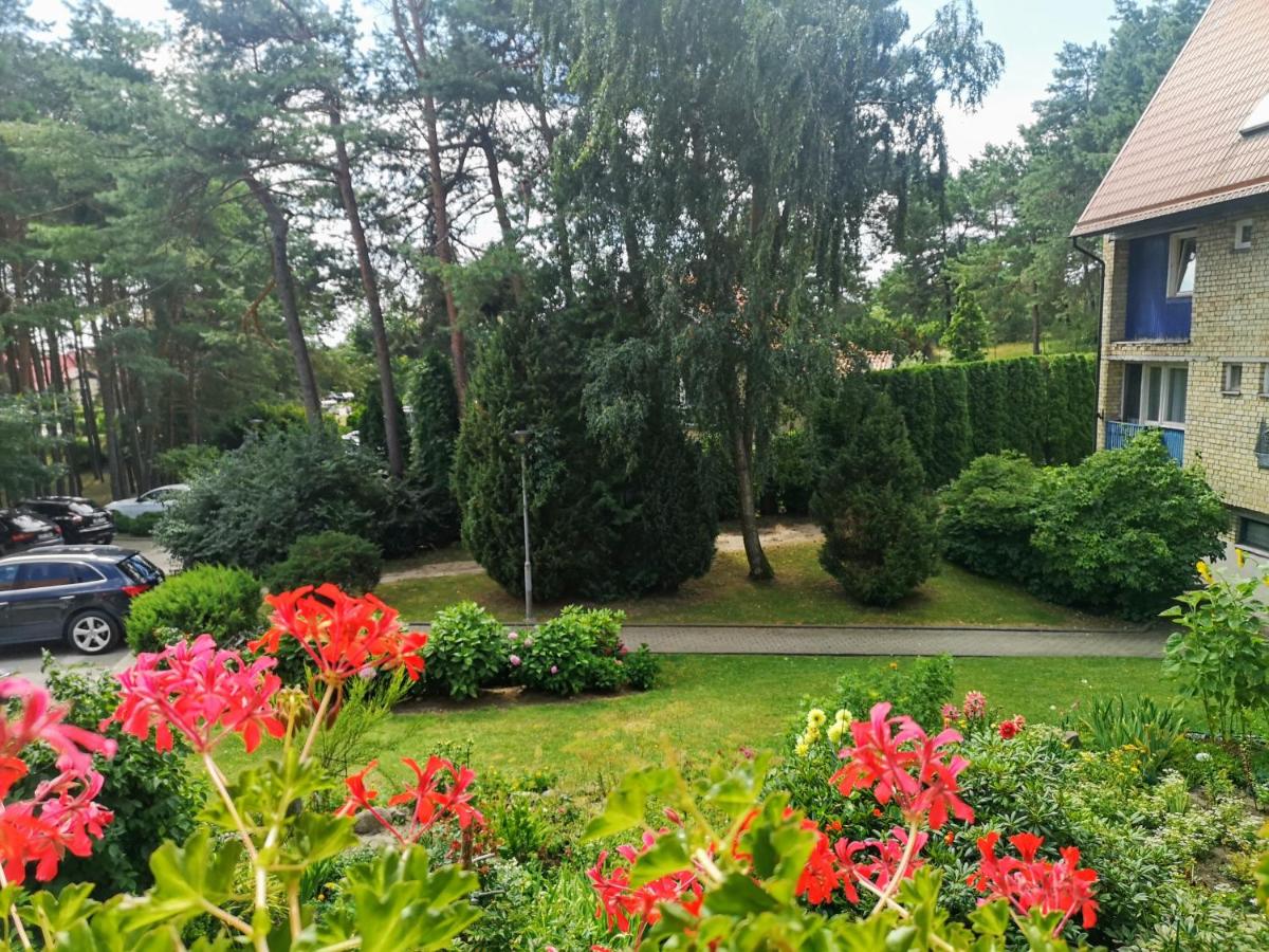 Marių studija - B&B