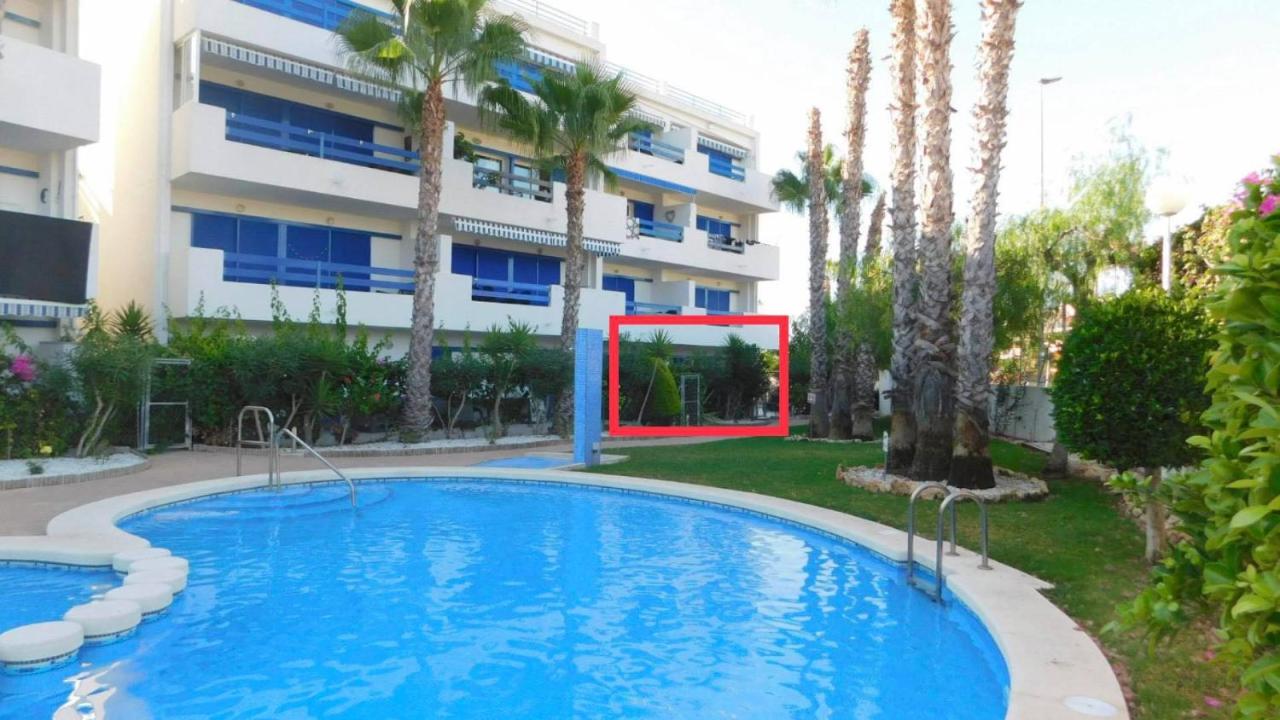 Coral House - La Calma - Playa Flamenca - big terrace & 4 Swimming pools. - Bed and Breakfast