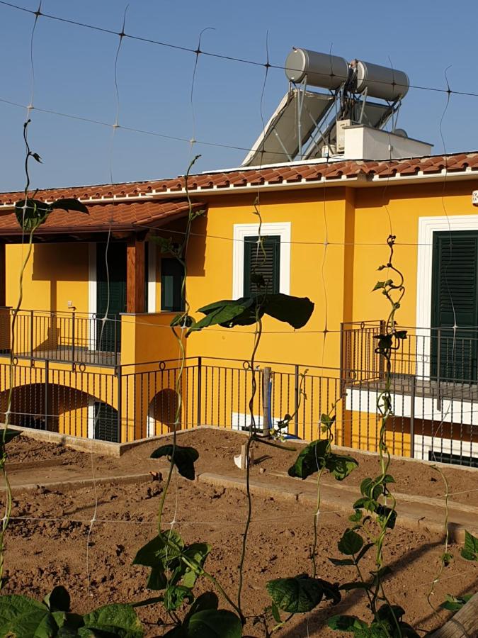 Casa Vacanze Il Frutteto - B&B