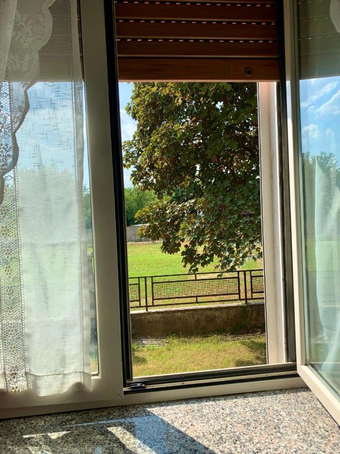 Appartamento BERIMBAU vicino Malpensa - B&B