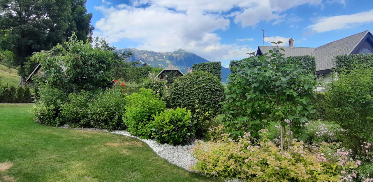 Studio met Uitzicht op de Tuin