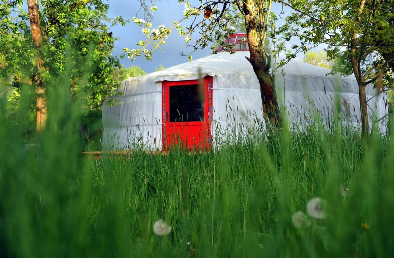 Tent