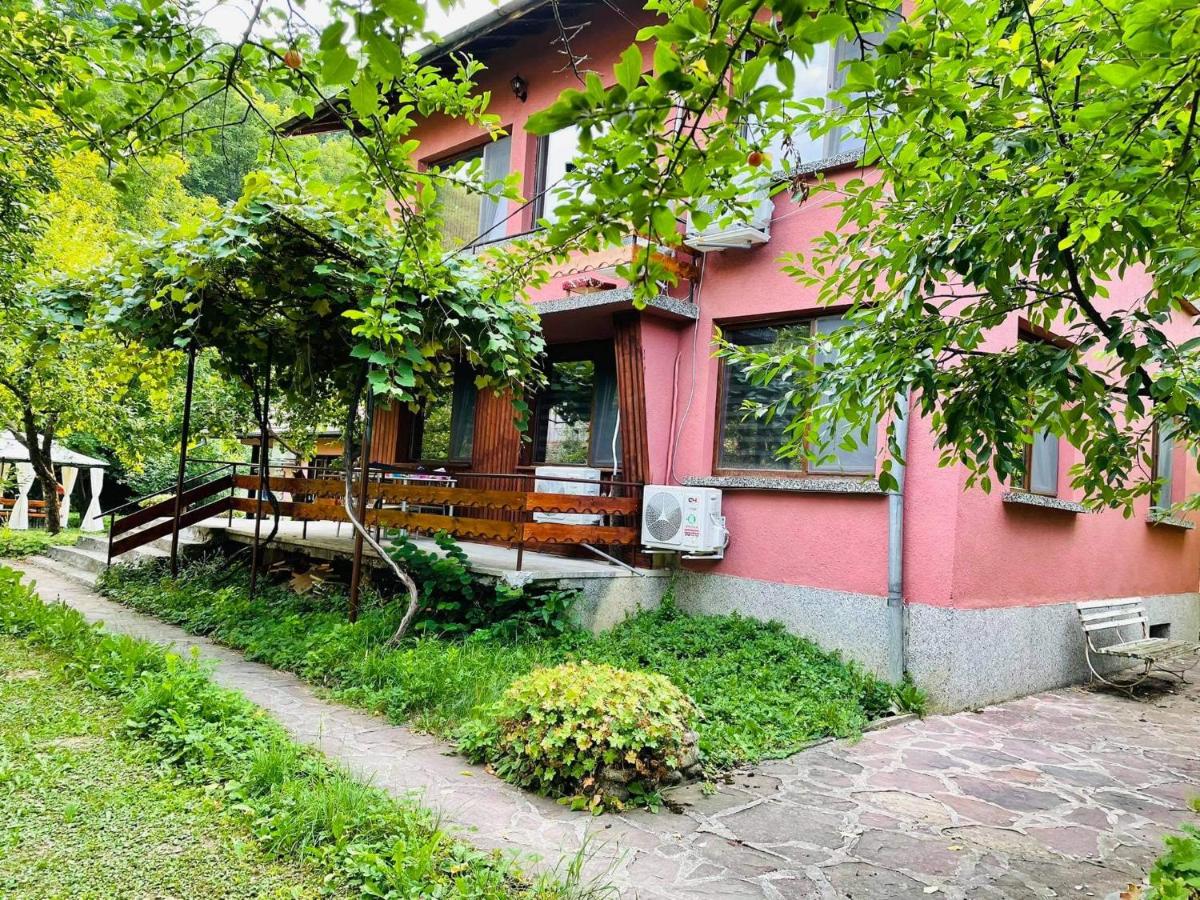 B&B Ribaritsa - Къща за гости Станеви - Bed and Breakfast Ribaritsa