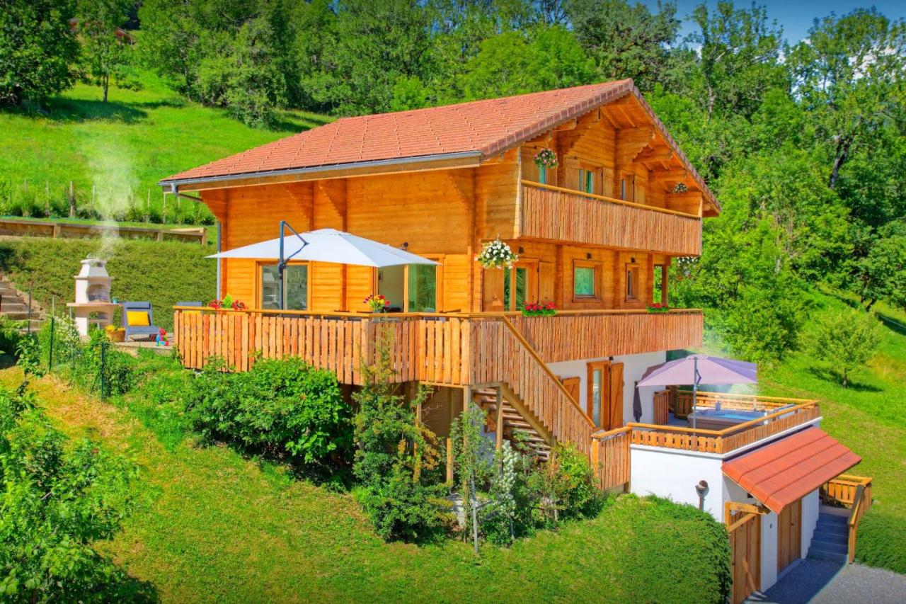 Chalet Carter - OVO Network - B&B Saint-Jean-de-Sixt