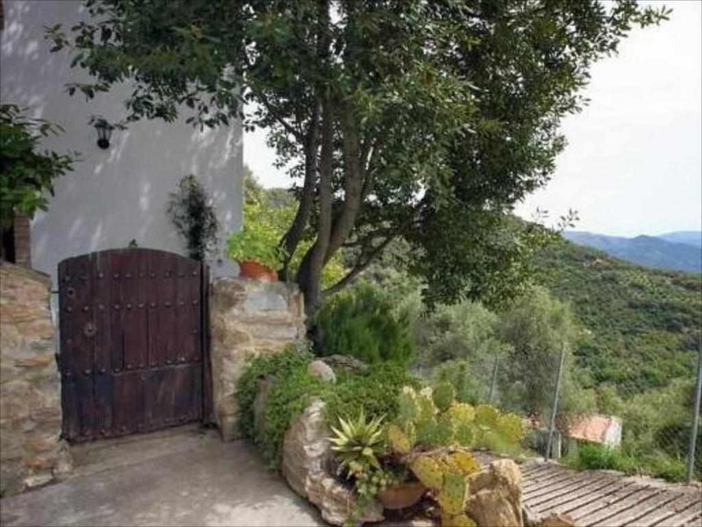 Apartment mit Gartenblick
