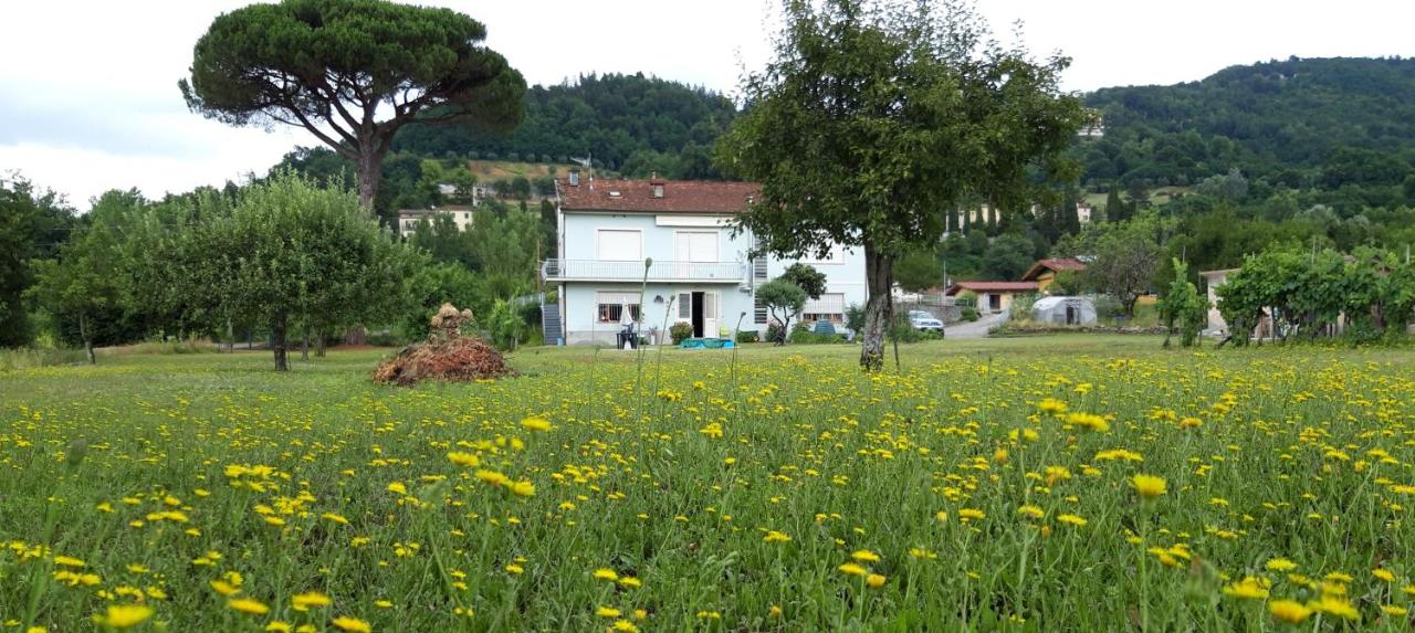 B&B Barga - Affittacamere La Foresta di Sopra - Bed and Breakfast Barga