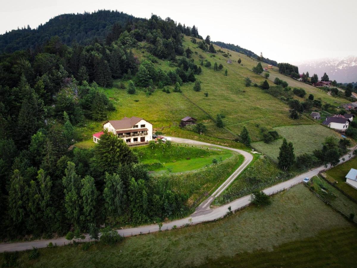 Pensiunea Magura - B&B