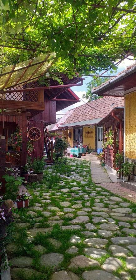 Casa boierului Imbri - B&B Cârţişoara