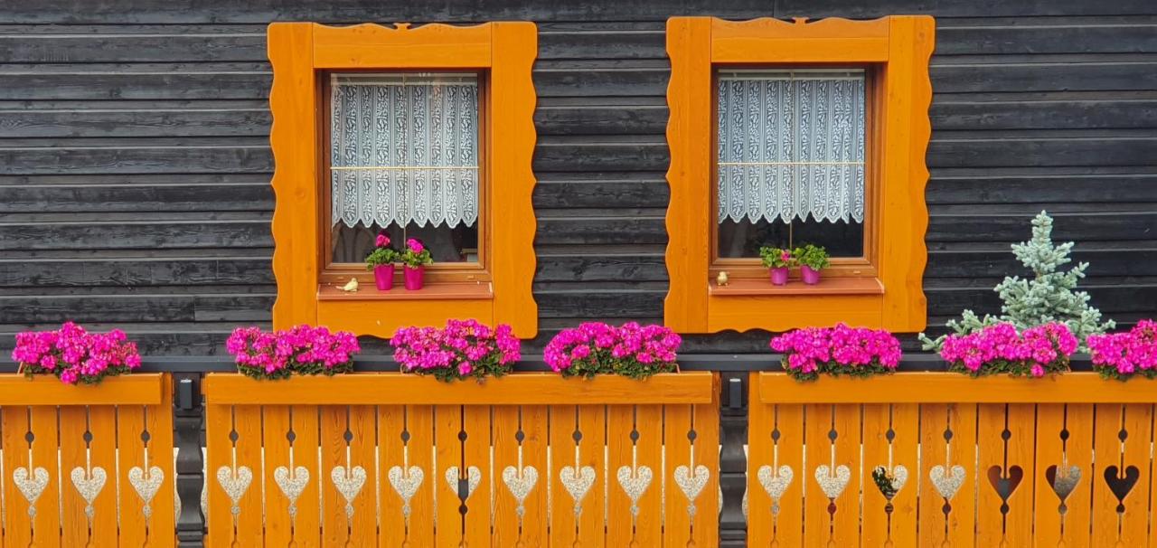 Drevenička U Ježka - B&B Ždiar