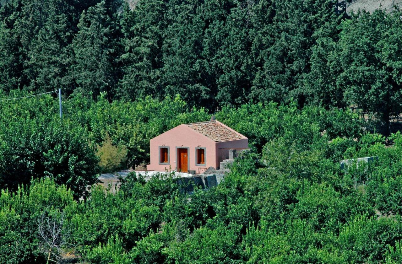 BioAgriturismo Antica Sena - B&B