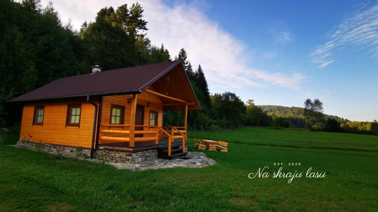 B&B Olszanica - Bieszczady Domek "Na skraju Lasu" - Bed and Breakfast Olszanica