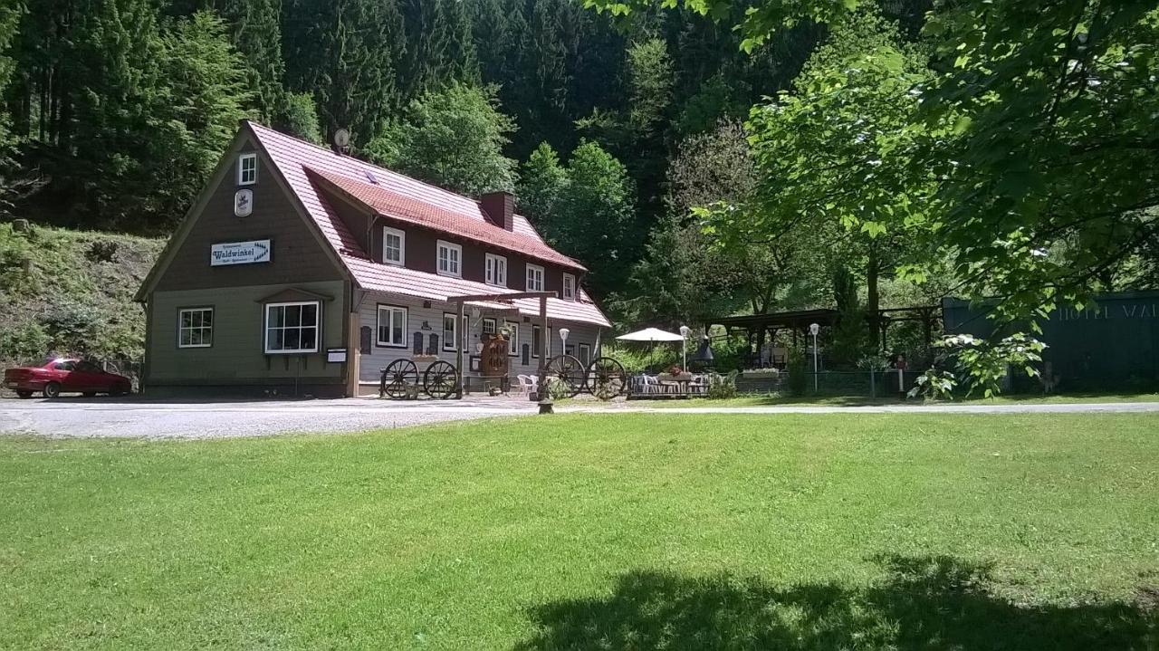 B&B Bad Grund - Waldpension Harzer Waldwinkel - Bed and Breakfast Bad Grund