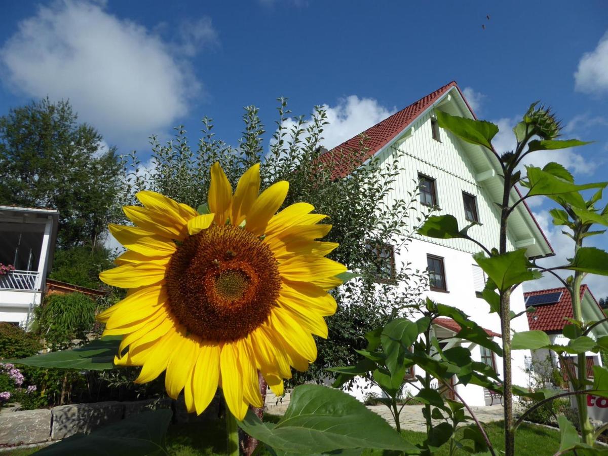 B&B Wangen im Allgäu - erholungsraum Karsee - Ferienwohnung - Bed and Breakfast Wangen im Allgäu