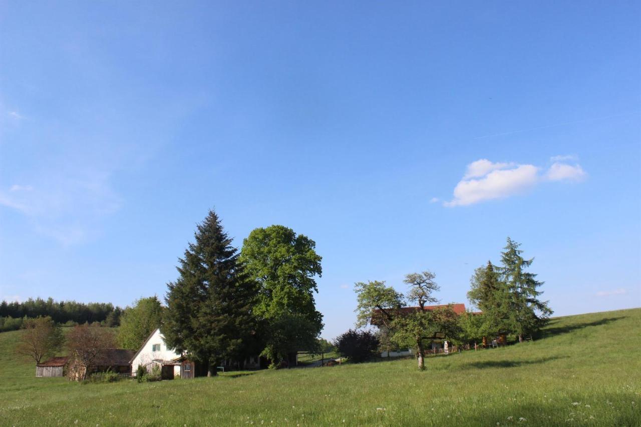 B&B Wangen im Allgäu - Auszeit auf dem Lindenhof - Bed and Breakfast Wangen im Allgäu