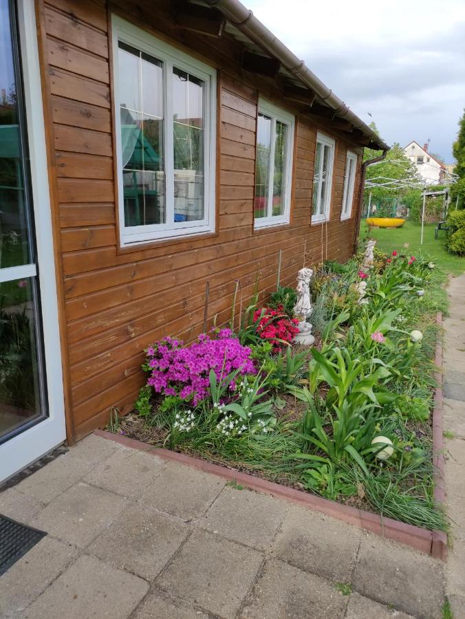 VILLA GUT - Bed and Breakfast Bolesławiec