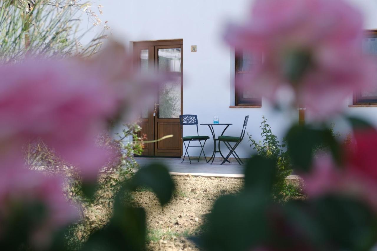 Junior Suite with Garden View
