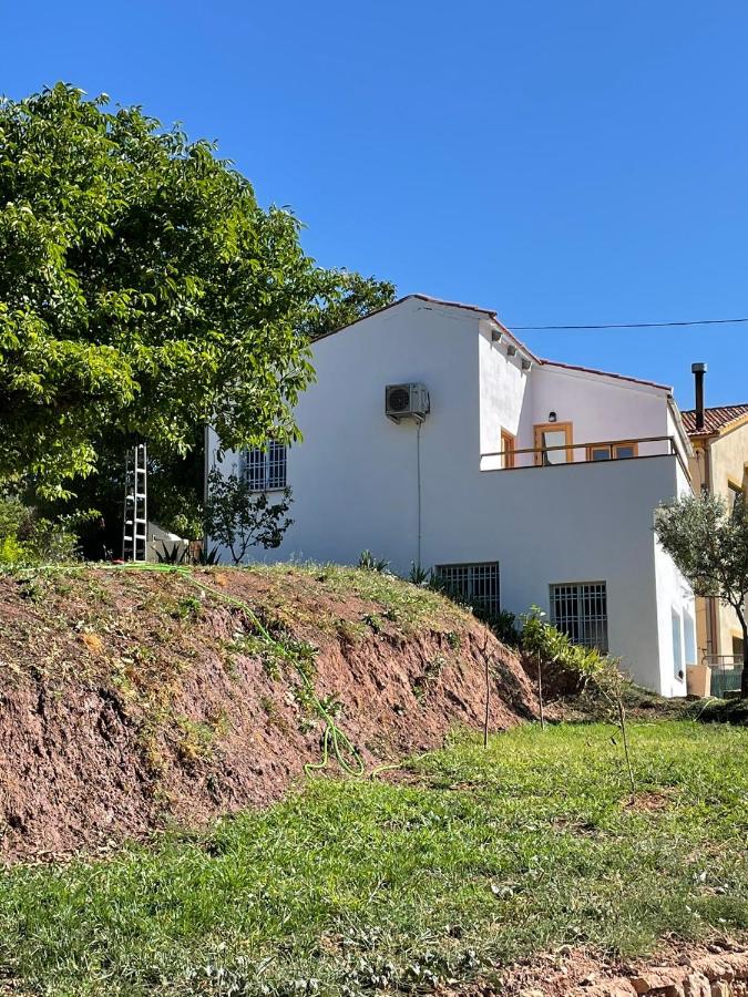 Casa Rural El Carrizal - B&B