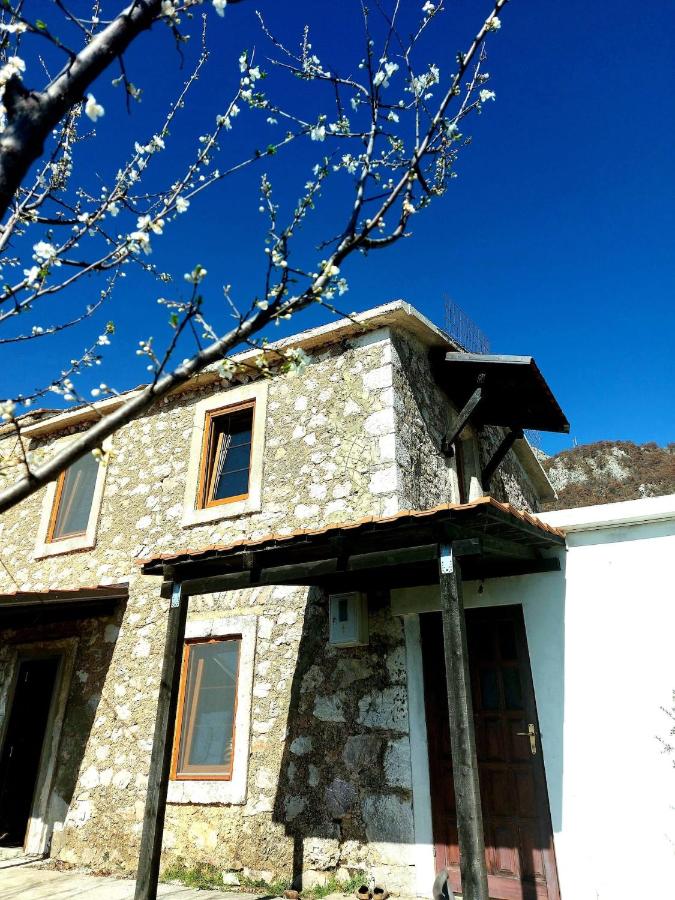 Monolocale con Vista Giardino