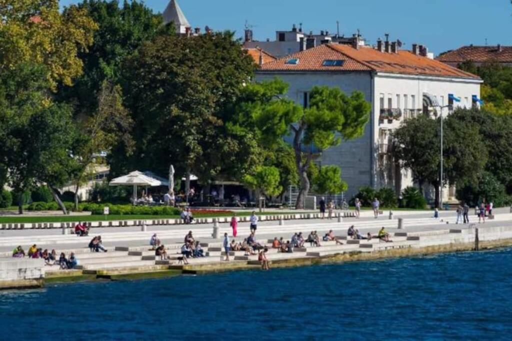Sea Organ Apartment Zadar - B&B