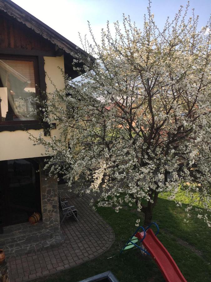 Pensiunea DARMA - B&B