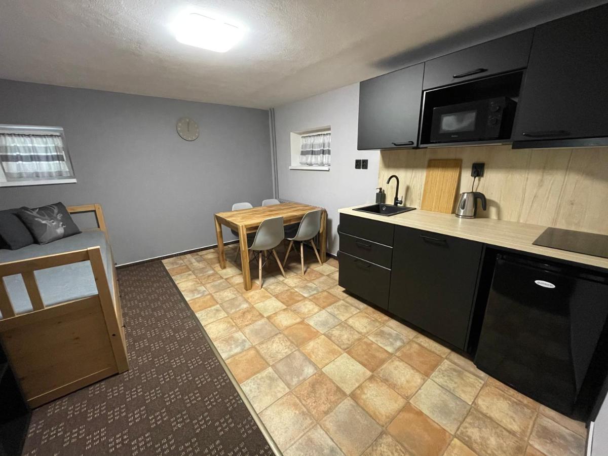 One-Bedroom Apartment (4 Adults)