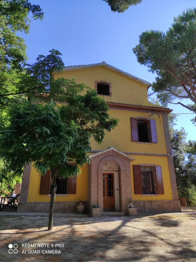 Tenuta il Ghiro - B&B