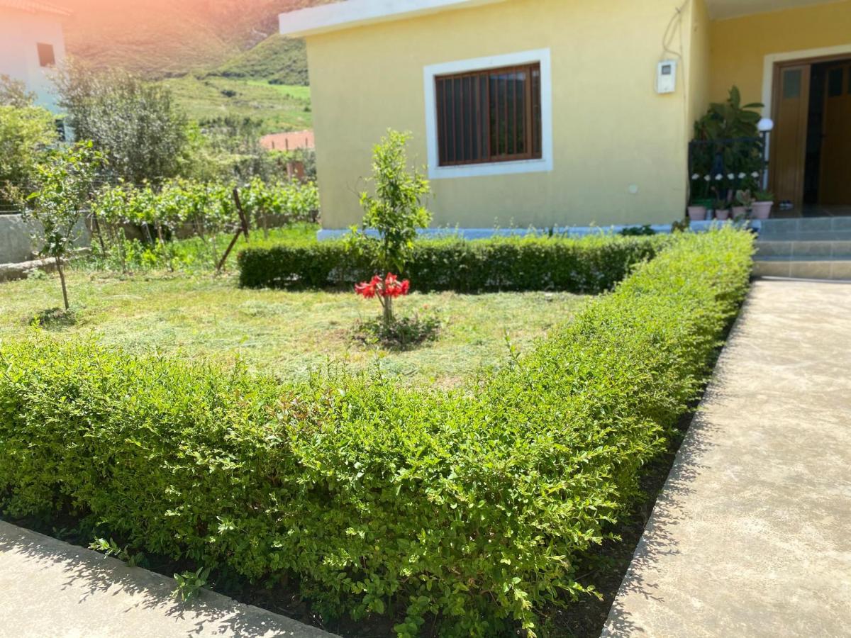 Flowery House near the Sea and the Mountain - B&B Vlore