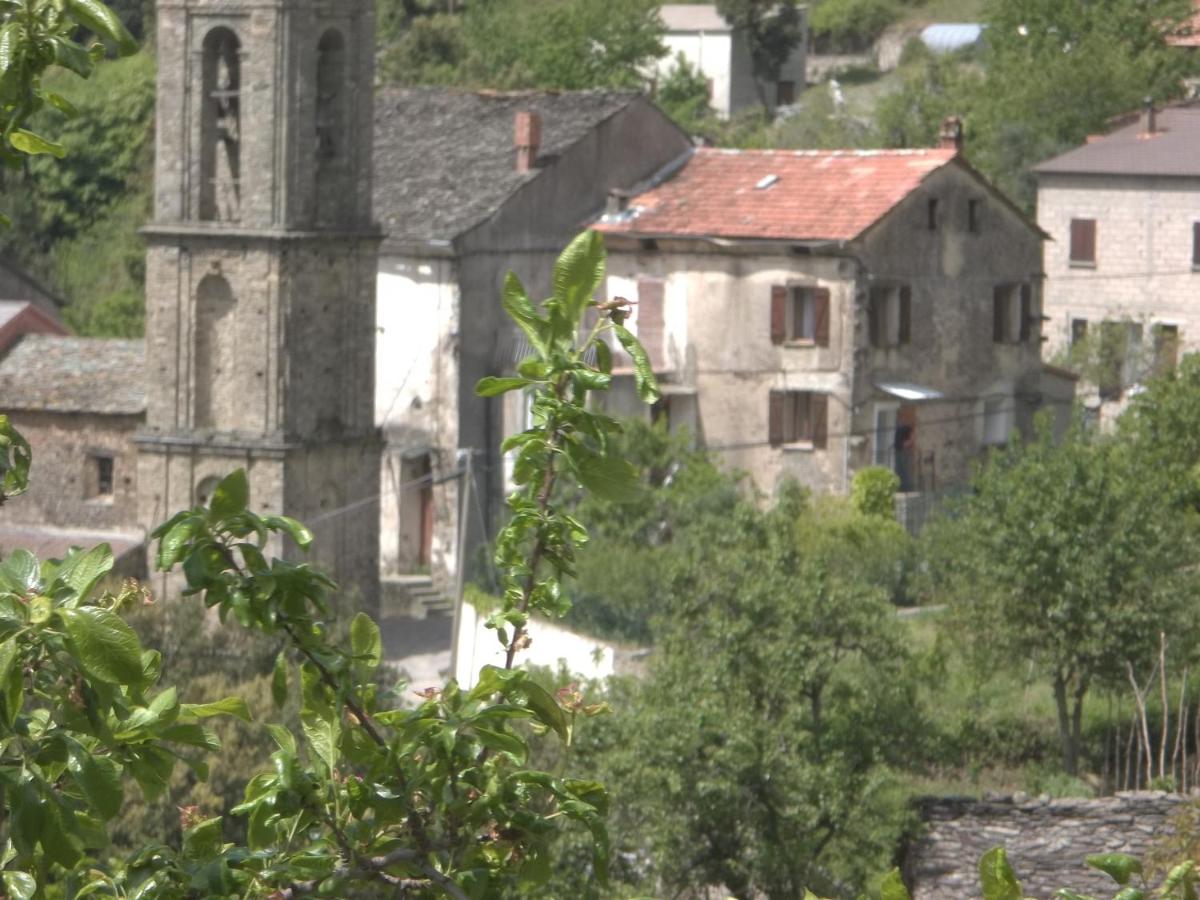 Maison de Caractère - B&B Bustanico