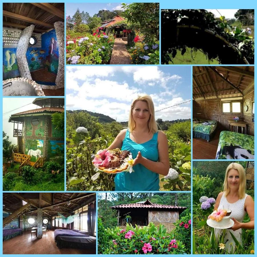 Finca Neblina del Bosque - B&B Estelí