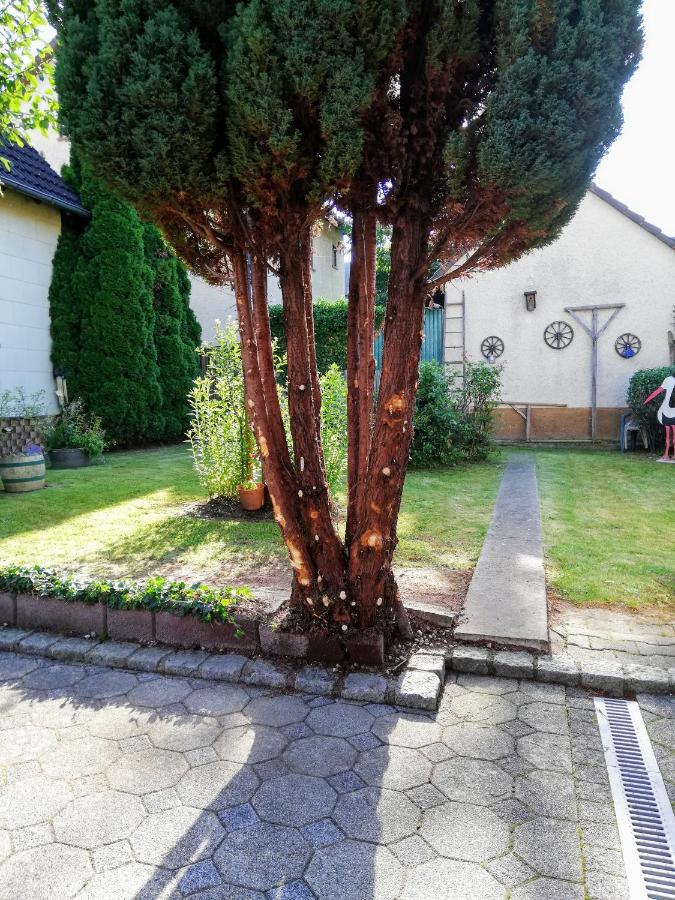 Ferienappartement Obrigheim - B&B Mosbach