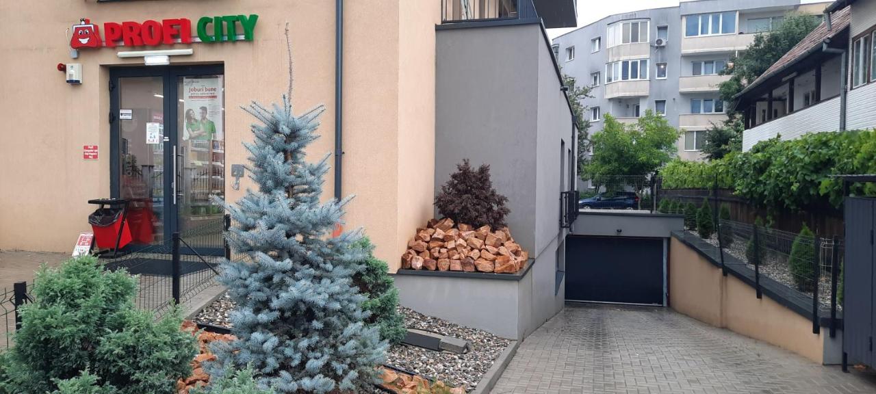 Baman Apartment - B&B Cluj-Napoca