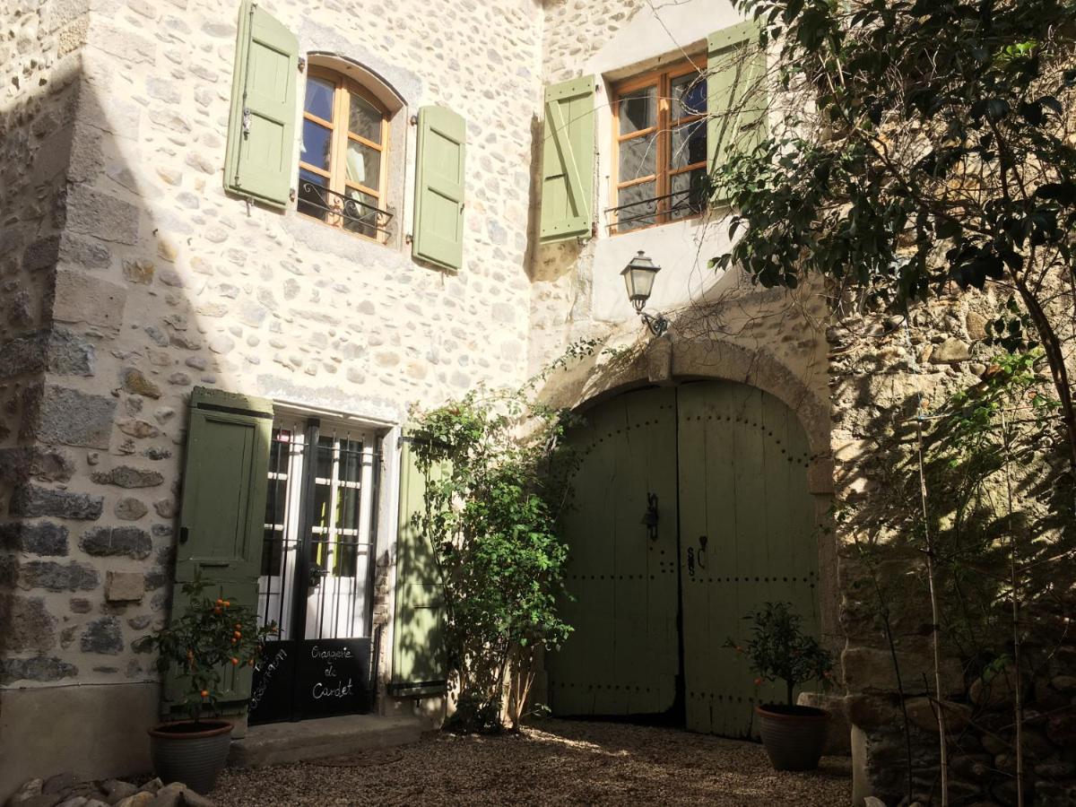 Orangerie de Cardet - Apartment Le Pampelmoussier - B&B Cardet